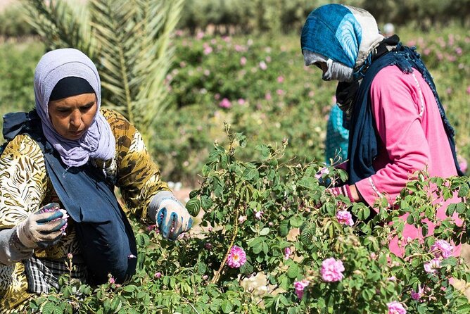 Private Excursion from Ouarzazate to Gorges Dades, Valley of Roses and Skoura - Dadès Gorges, Boulemane Dades guided walk: what you actually get from the feet-on-ground time