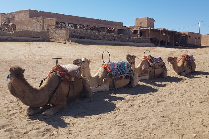 Private Excursion in the Agafay Desert - Key things that make this Agafay trip work