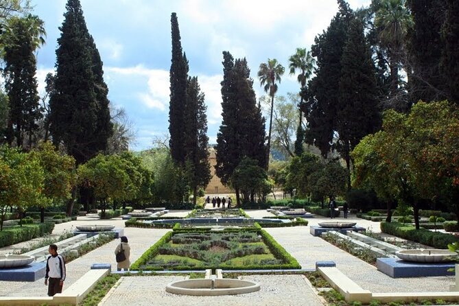 Private Fez Medina Guided Walking Tour - Stop 5: Fontaine Nejjarine and the Museum Entrance Fee