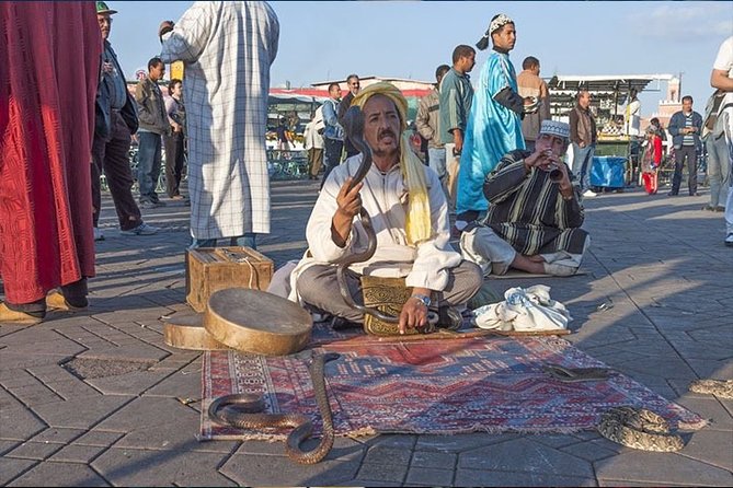 Private Full Day Sightseeing Marrakech Tour by Car - Price, Timing, and What You Get For the Money