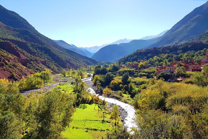 Private Full Day Trip From Marrakech To Ourika Valley - Women’s argan oil cooperative: what you’re really paying for
