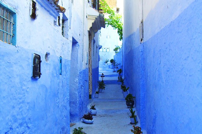 Private Full Day Trip To Chefchaouen From Fez - Chefchaouen in one day: why the blue city is worth the drive