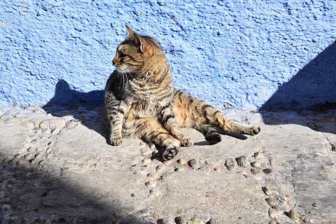Private Full Day Trip To Chefchaouen From Fez - Outa el Hammam square: your lunch-and-rest anchor