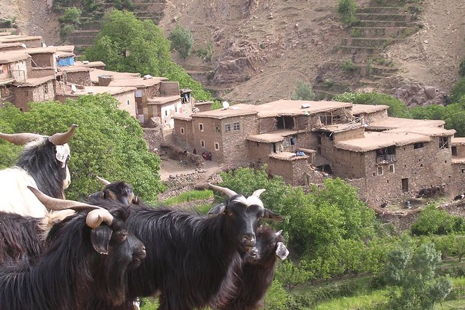 Private Guided Atlas Day Tour from Marrakech with lunch in a Berber family home - Key Things to Know Before You Go