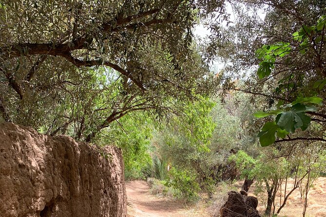 Private half-day mountain bike tour discover Palmeraie Skoura - Skoura palm grove by bike: the smart way to see Ouarzazate’s side of Morocco