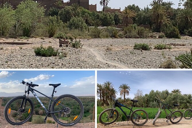 Private half-day mountain bike tour discover Palmeraie Skoura - Optional cultural stops: craft time and Kasbah Amridil without the pressure