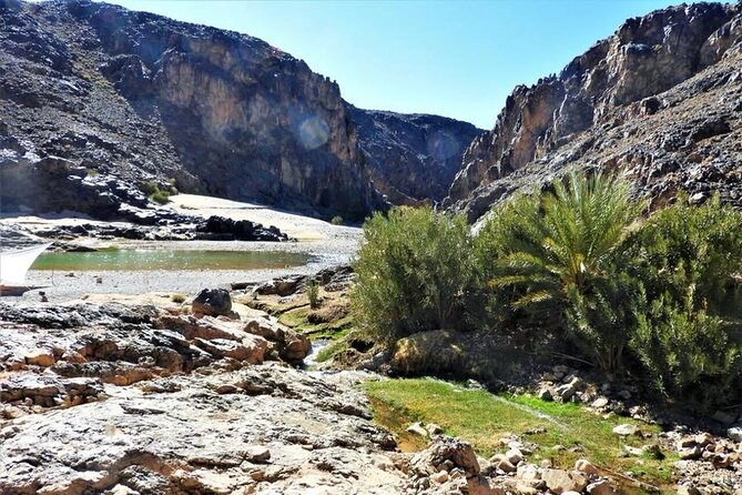 Private half-day mountain bike tour discover Palmeraie Skoura - Price and value: what $33.31 gets you, and how to judge if it’s worth it