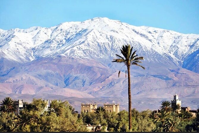Private half-day mountain bike tour discover Palmeraie Skoura - Who this mountain bike tour is best for