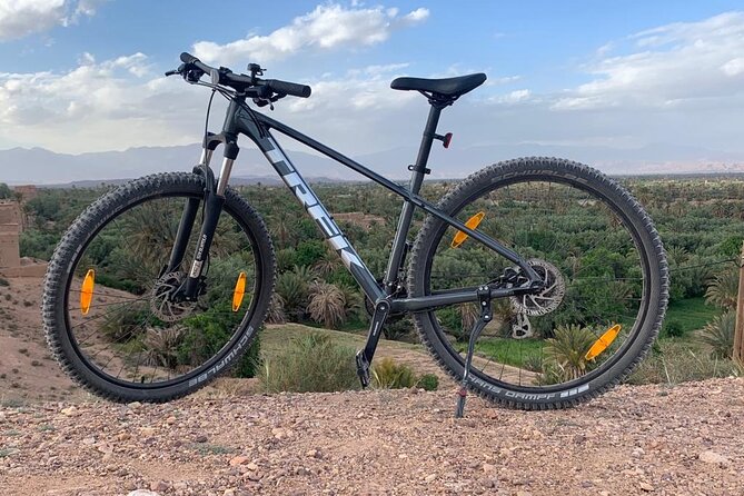 Private half-day mountain bike tour discover Palmeraie Skoura - Tea break in the palms: where the ride turns into a story