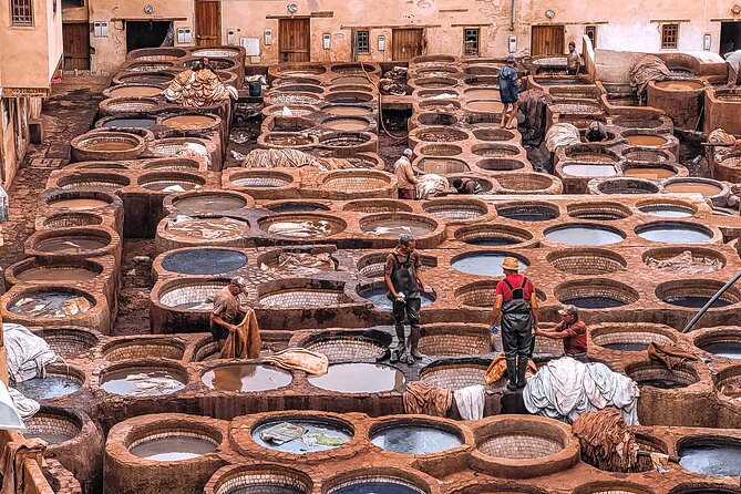 Private Half-Day Tour of the Authentic City of Fez - Price and Entry Fees, What This Half-Day Really Costs You