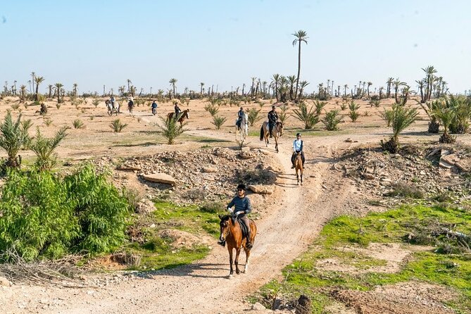 Private horseback ride in the Palmeraie of Marrakech - Key things you will notice right away