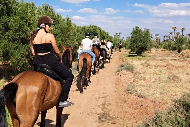 Private horseback ride in the Palmeraie of Marrakech - From pickup to stable: how the day gets easy fast