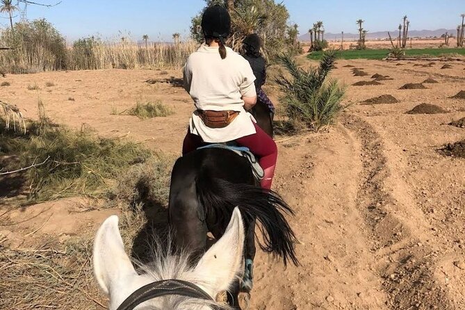 Private horseback ride in the Palmeraie of Marrakech - Guides like Sofian and Farid, and what their style means for you
