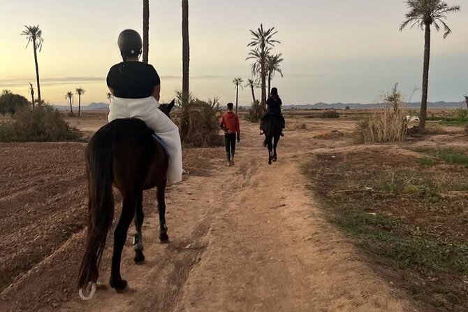 Private horseback ride in the Palmeraie of Marrakech - Logistics that matter: private tour, mobile ticket, and timing