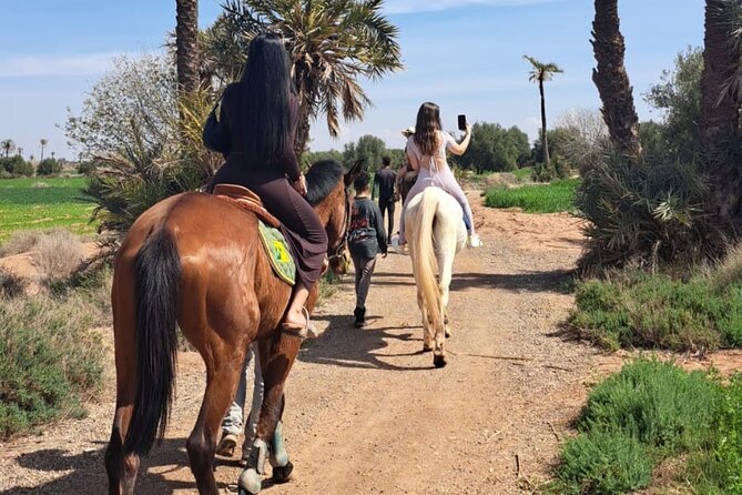 Private horseback ride in the Palmeraie of Marrakech - Getting on your horse: what you can expect in real terms
