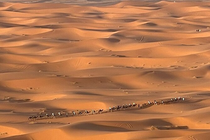 Private Luxury Tents ,Camel ride and Sandboard in Merzouga Desert - Why a private luxury tent camp in Merzouga feels worth it