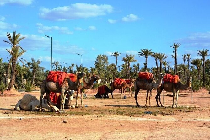 Private Marrakech Day Trip from Casablanca with Free Camel Ride - Bahia Palace: plan for the extra entrance fee