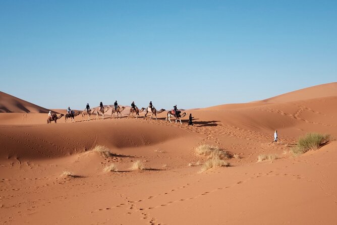 Private Marrakech Desert tour to Fes - Private Car Comfort: Marrakech pickup to Fes drop-off without the herd