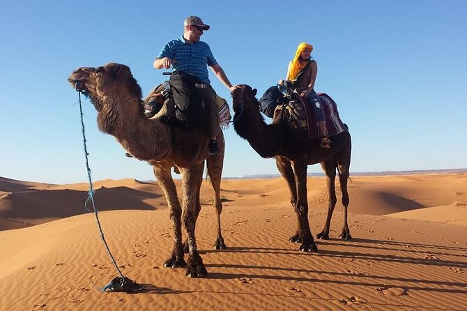 Private Marrakech Desert tour to Fes - Day 2: Merzouga and Erg Chebbi sunset, camel ride, sandboarding, and desert camp dinner