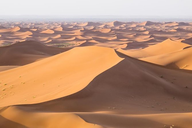 Private Marrakech Desert tour to Fes - Day 3: sunrise at the dunes, Middle Atlas cedar forest break, and arrival in Fes