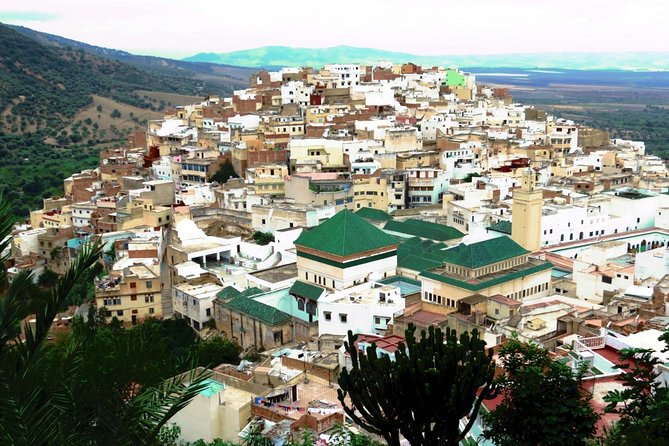 Private Meknes Volubilis -Mouly Idriss day trip from Fez - Timing, comfort, and practical tips for a smooth day