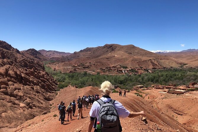 Private Monkey Fingers Canyon Hike - A 2.5 hour hike with real rock obstacles