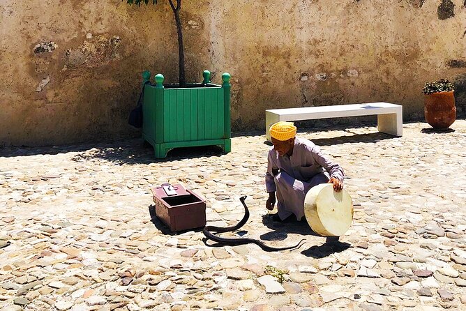 Private Tangier Full day Tour - Achakkar Beach: camel time on the sand