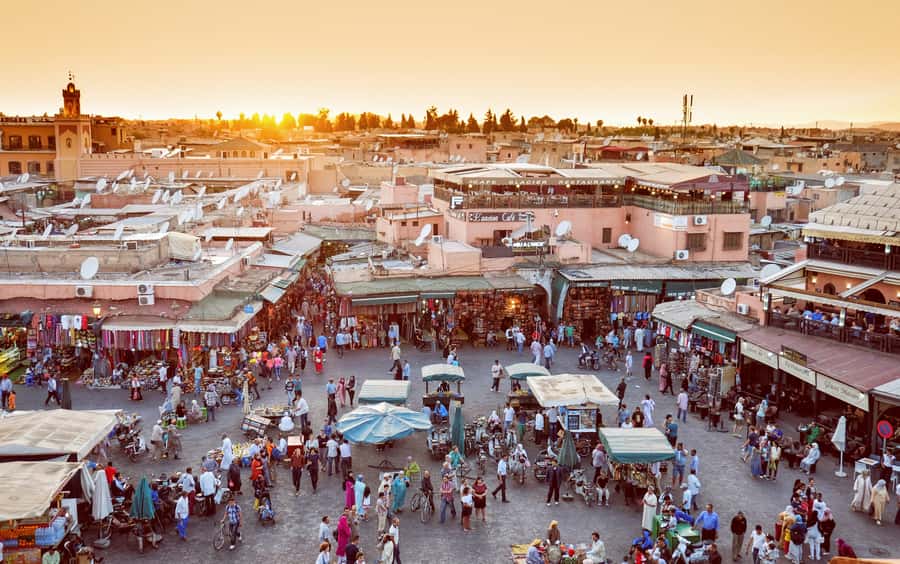 Private Tour: Half-Day Sightseeing Tour of Marrakech - A Smart Half-Day Plan for First-Time Marrakesh Walks