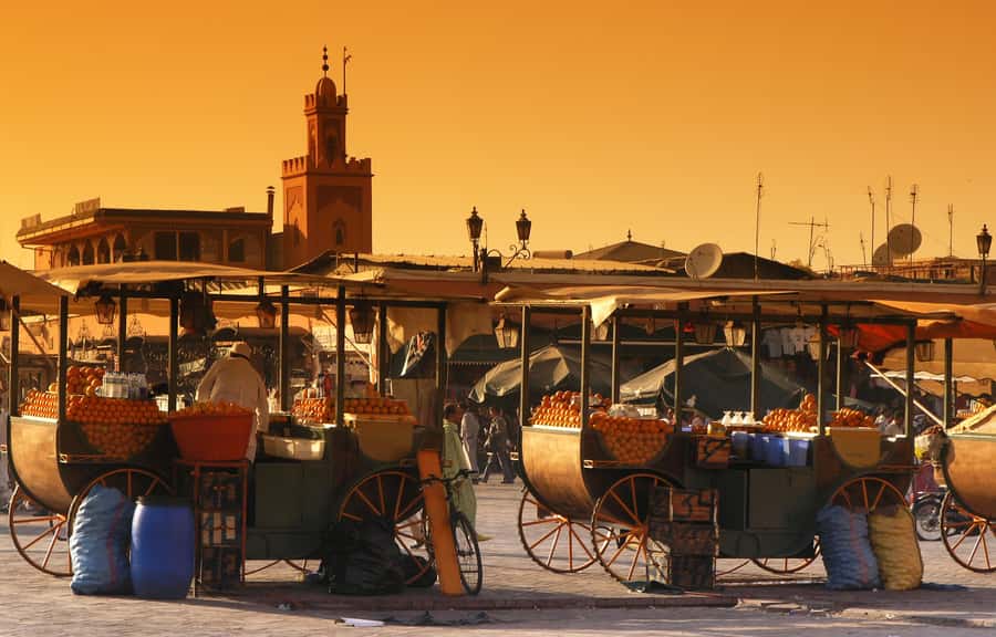 Private Tour: Half-Day Sightseeing Tour of Marrakech - Jemaa el-Fnaa Square: Why the City’s Center Feels Like a Time Machine
