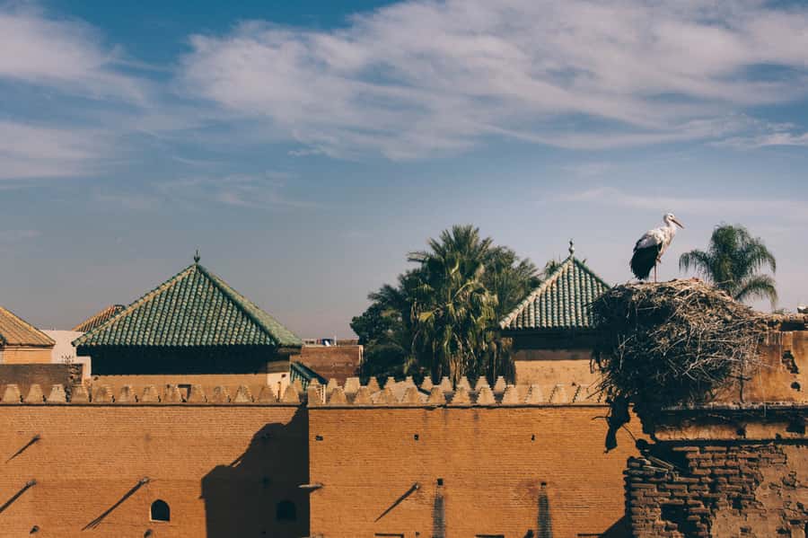 Private Tour: Half-Day Sightseeing Tour of Marrakech - Price and Value: Is $95 for 4 Hours a Good Deal?
