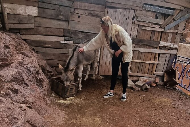 Private Tour in Atlas Mountain and 3 Valleys with Camel Ride - Meeting up in Marrakech and how the day flows
