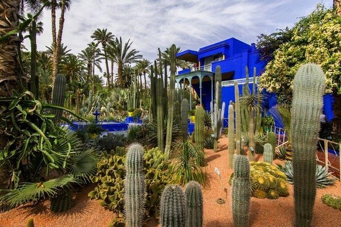 Private Tour in Marrakech By Tuk Tuk - Driver, not official guide: how to get the most from the ride