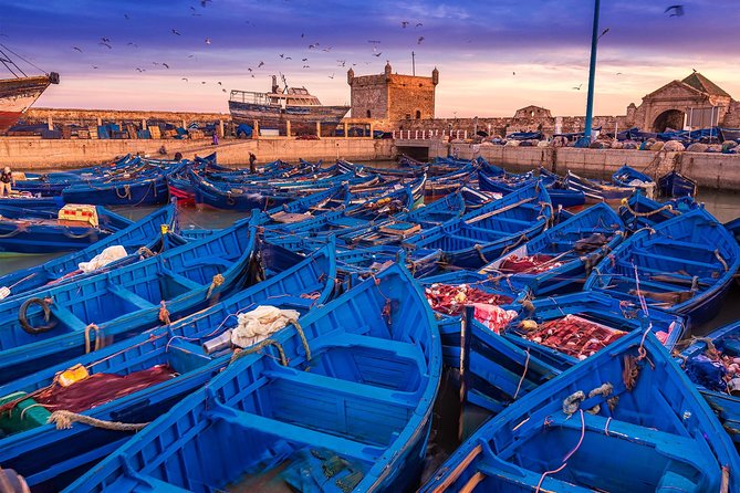 Private Transfer: Marrakech to Essaouira (Door-to-Door) - Inside the car: AC comfort, bottled water, and driver manners