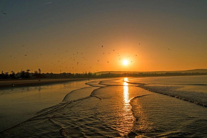 Private Transfer: Marrakech to Essaouira (Door-to-Door) - Price and value: why $92.92 feels fair for a private transfer