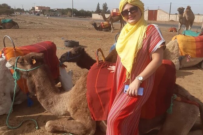 Private transfer Marrakech to Essaouira or Essaouira to Marrakech - Should you book this Marrakech to Essaouira transfer?