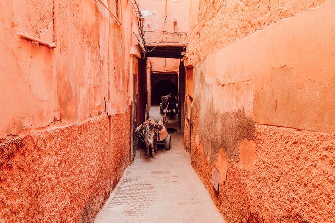 Private Walking Tour in Marrakech - Why this private walk is a smart way to start Marrakech