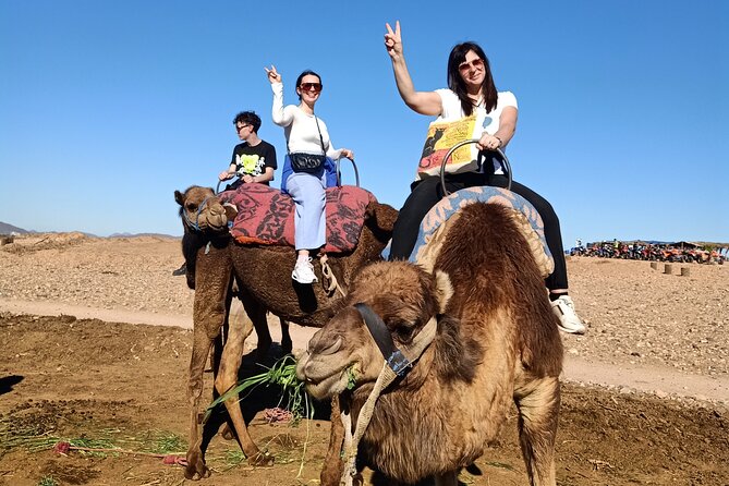 Quad Bike and Camel Ride in Marrakech - Who This Marrakech Desert Activity Is Best For
