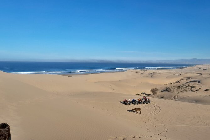 Quad Bike and Sandboarding on Sand Dunes Wild Beach - The Sahara area stop: views, photos, and a traditional tea break