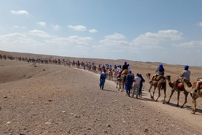 Quad bike & Camel ride Agafay & dinner at Chouf L’Or Restaurant - Lunch is not the point, dinner at Chouf L’Or is
