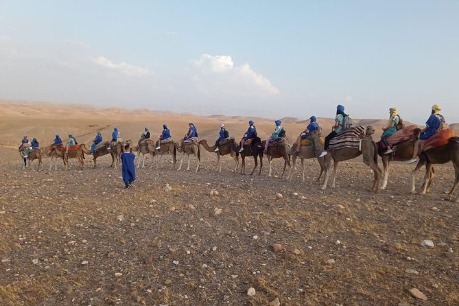 Quad bike & Camel ride Agafay & dinner at Chouf L’Or Restaurant - Who should book this Agafay quad, camel, and dinner tour