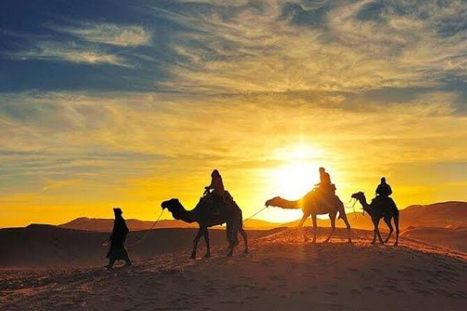 Quad Bike & Camel Ride & Dinner Show In Agafay Desert - Fire Performance, Berber Music, and Why the Timing Matters