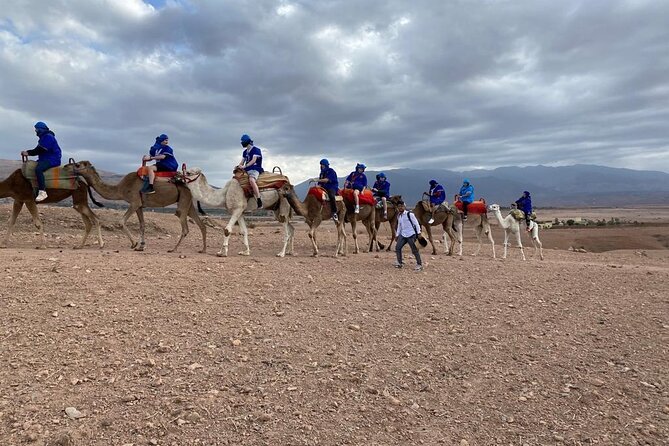 Quad bike & camle Ride & Dinner show in agafay desert - Who This Tour Suits Best, and Who Should Rethink It