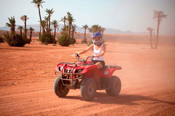 Quad bike ride palm grove Desert of Marrakech mountain bike - Out into the Desert Edge: Terrain, Volcanic Looking Ground, and Atlas Views
