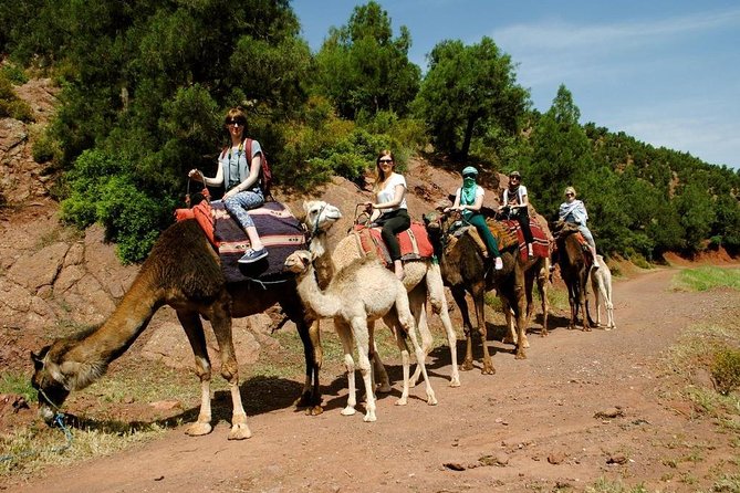 Quad Biking and Camel Ride Guided Day Trip from Marrakech - Camel Ride in the Mountains: What It Feels Like, and How Long It Lasts