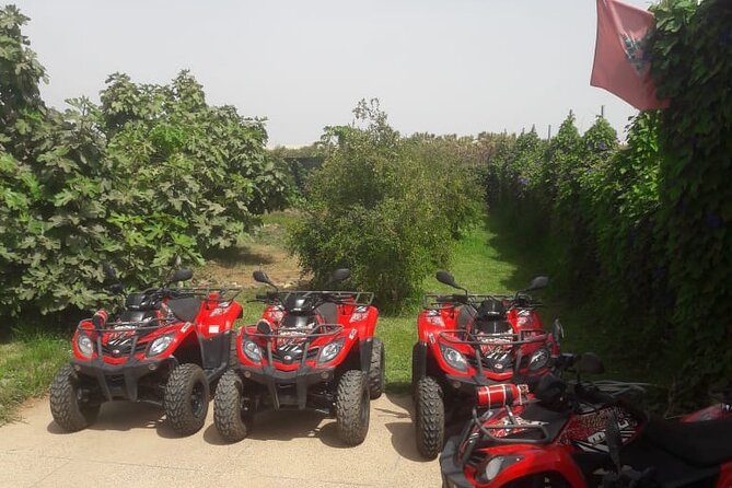 Quad Biking and Sandboarding on Sand Dunes Wild Beach - Berber mint tea and the kinds of stories guides love to share