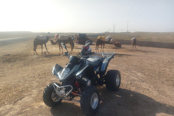 Quad Biking & camel ride Agafay desert with Lunch or dinner - Key highlights to look for before you go