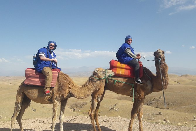Quad Biking & camel ride Agafay desert with Lunch or dinner - Trading Marrakech traffic for Agafay Desert energy