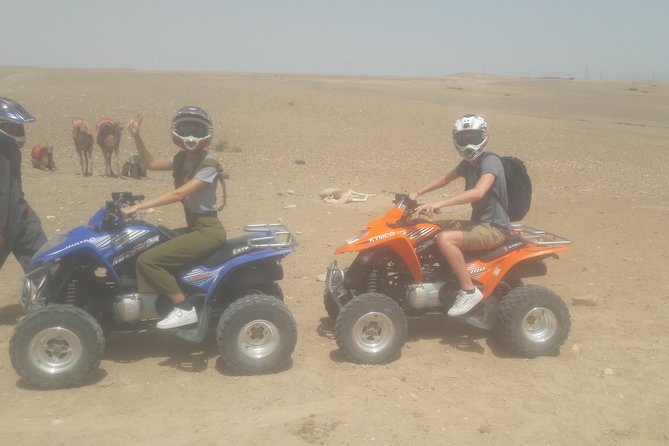 Quad Biking & camel ride Agafay desert with Lunch or dinner - The Berber tent meal: tajine, bread, tea, and seasonal fruit