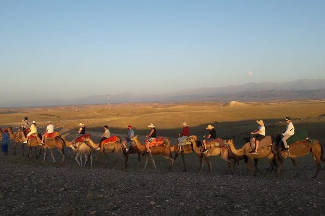 Quad Biking & camel ride Agafay desert with Lunch or dinner - Camel ride across arid lands: slower, steadier, more “desert”