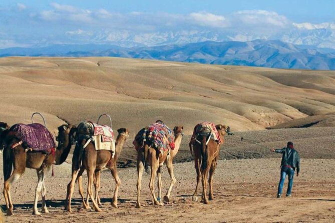 Quad Biking & Camel Ride in Agafay Desert with Dinner Show - Hotel Pickup and the 5 to 6 Hour Game Plan